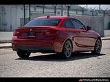 2014 BMW 2-Series photo 6
