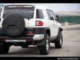 2010 Toyota FJ Cruiser photo 10