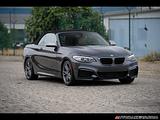 2015 BMW 2-Series photo 1
