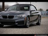2015 BMW 2-Series photo 8