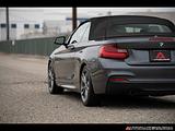 2015 BMW 2-Series photo 9