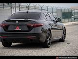 2019 Alfa Romeo Giulia photo 10